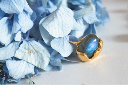 Visión. Anillo de labradorita