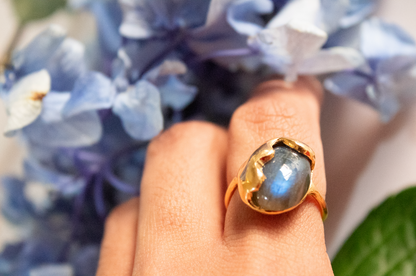 Visión. Anillo de labradorita