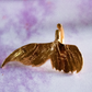 Amaité. Ear cuff de hada