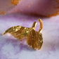 Amaité. Ear cuff de hada