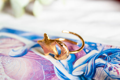 Eclipse de luz. Anillo de luna y estrella