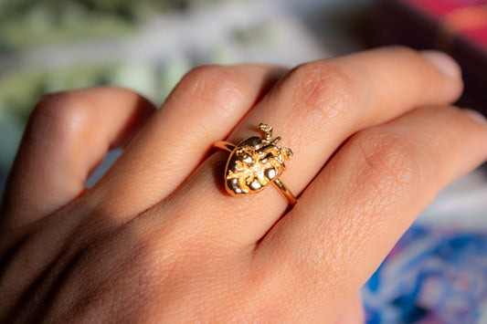 Corazón sagrado. Anillo de corazón