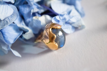 Visión. Anillo de labradorita