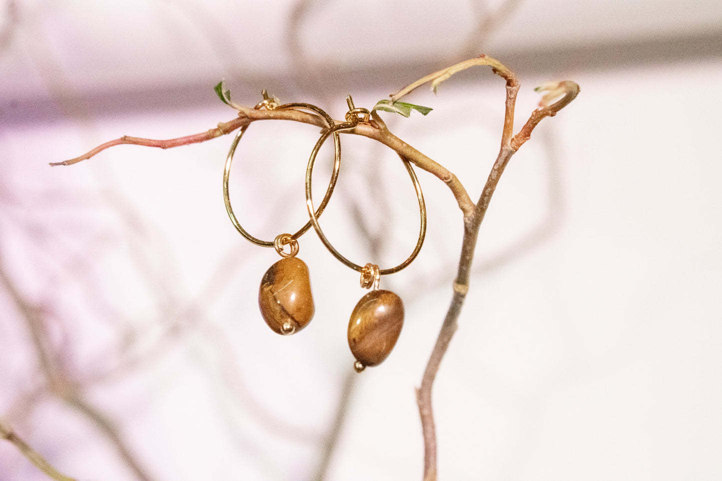 Ich. Minimalist hoop earrings with tiger eye