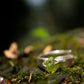 Anillo Este. Peridoto - Color Mineral
